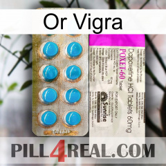 Gold Vigra new07